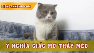 Giải Mã Tận Cùng Ý Nghĩa Giấc Mơ Thấy Mèo